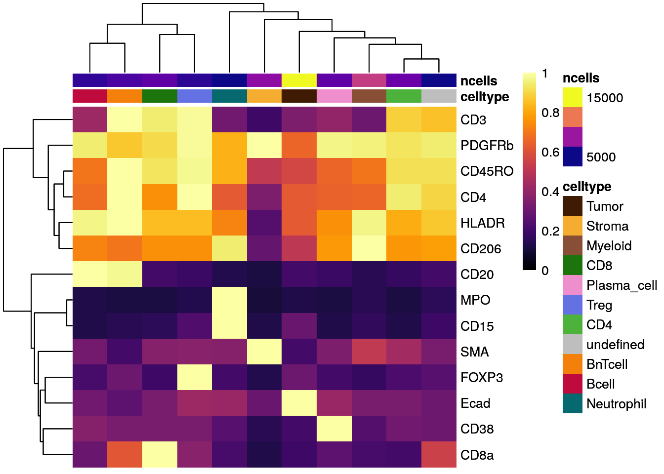 Single Cell Visualization Analysis Workflow For Imc Data